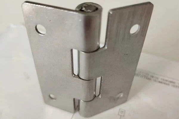Exposed Window Hinges